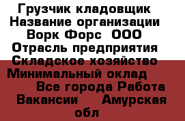 Грузчик-кладовщик › Название организации ­ Ворк Форс, ООО › Отрасль предприятия ­ Складское хозяйство › Минимальный оклад ­ 27 000 - Все города Работа » Вакансии   . Амурская обл.